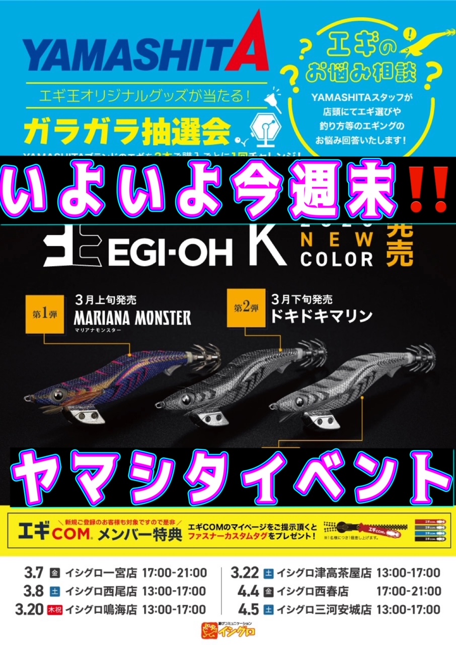 エギまとめ売り　43本 4510001609660_4.jpg